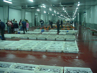 Que es una piscifactoría y como la acuicultura nos puede ayudar