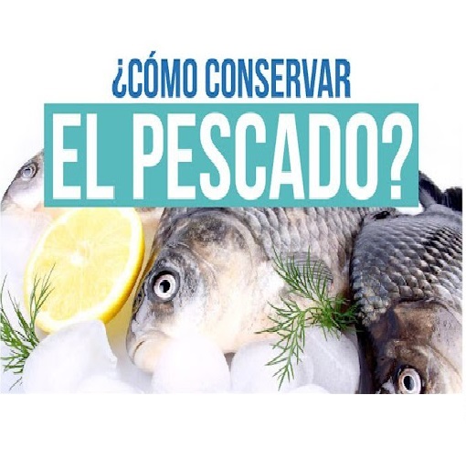 7 conservacion pescado