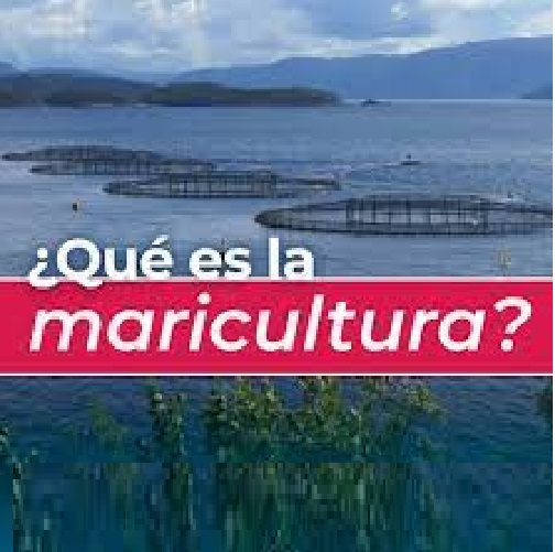 Qué es la maricultura